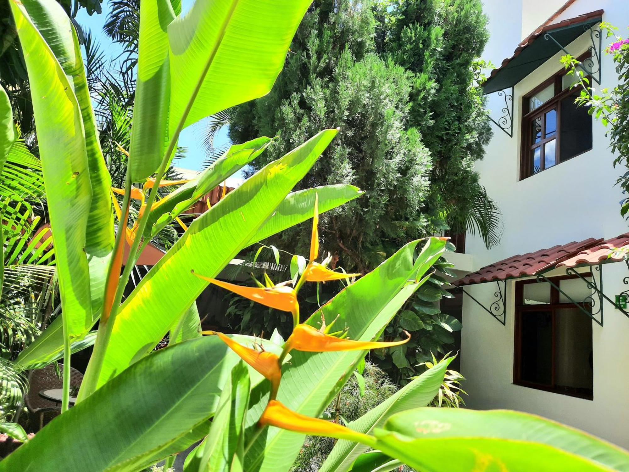 Casa Los Cantaros Hotel Boutique Oaxaca Bagian luar foto
