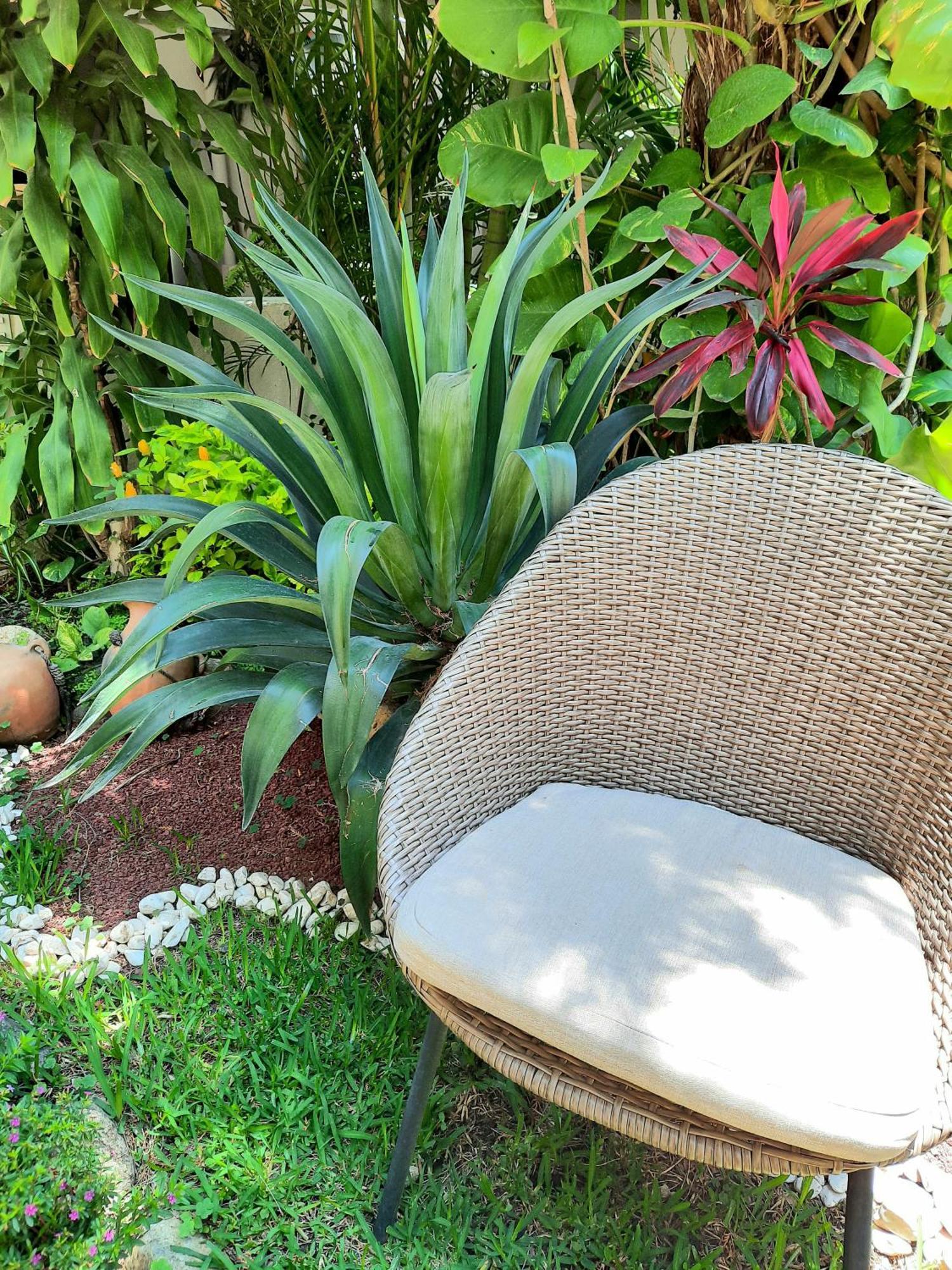 Casa Los Cantaros Hotel Boutique Oaxaca Bagian luar foto